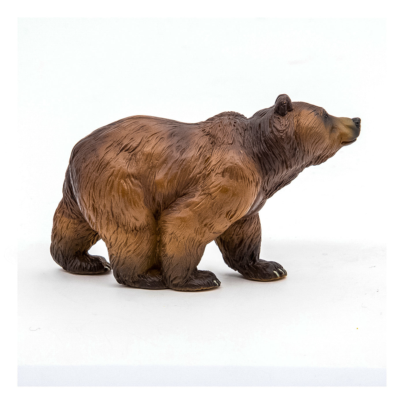 PAPO FIGURINA URS PIRINEI