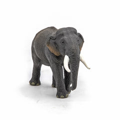 PAPO FIGURINA ELEFANT ASIATIC