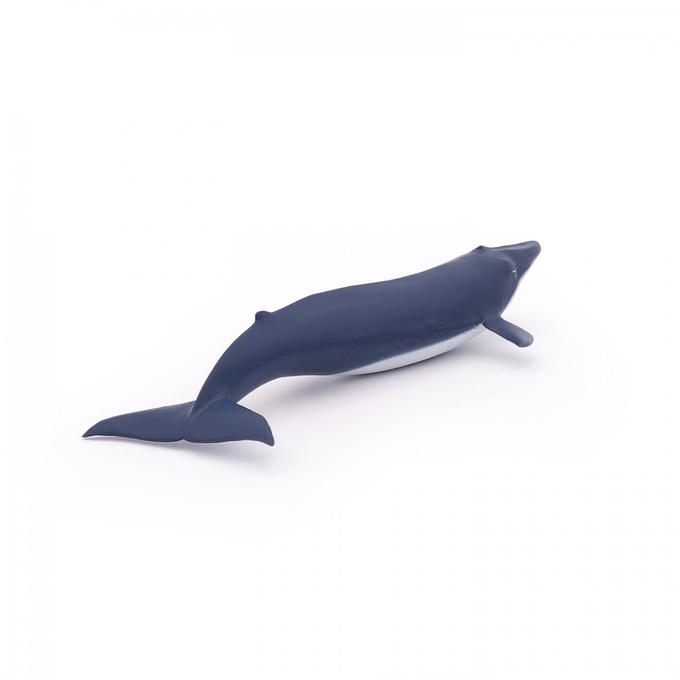 PAPO FIGURINA PUI DE BALENA ALBASTRA