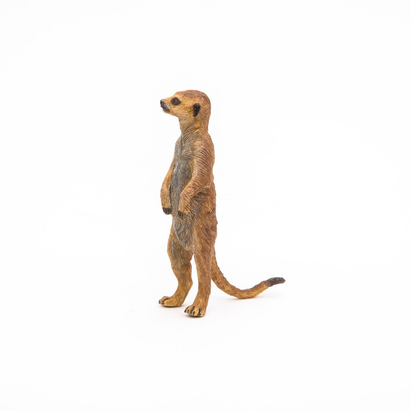 PAPO FIGURINA SURICATA