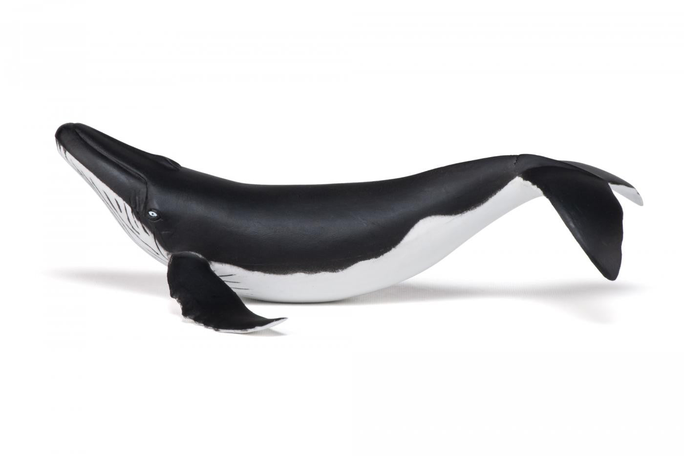 PAPO FIGURINA PUI DE BALENA
