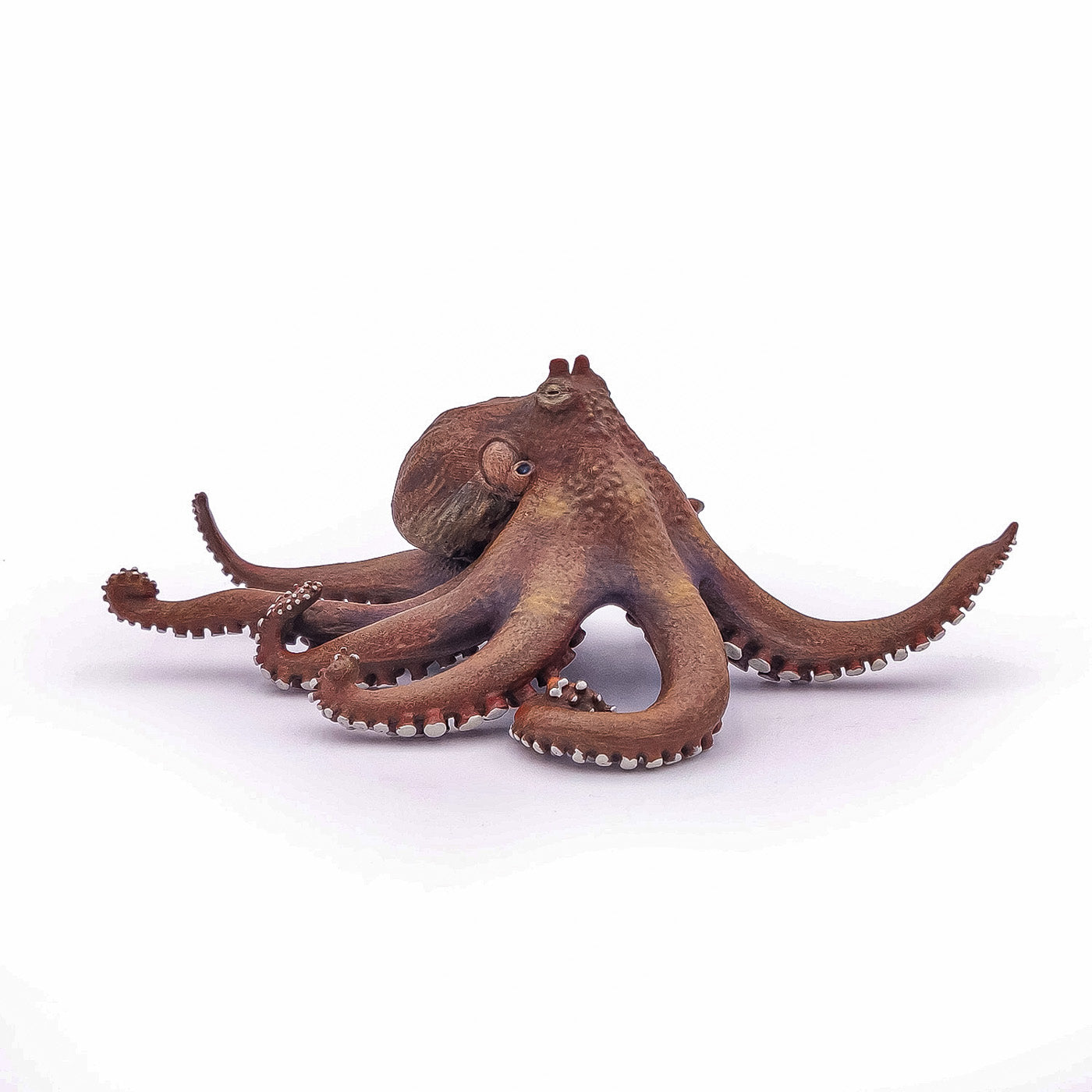 PAPO FIGURINA CARACATITA