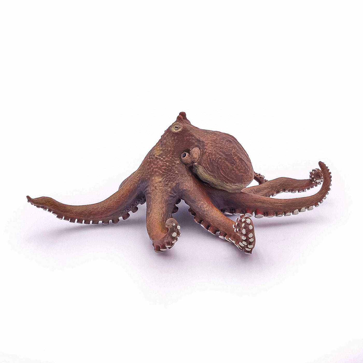 PAPO FIGURINA CARACATITA
