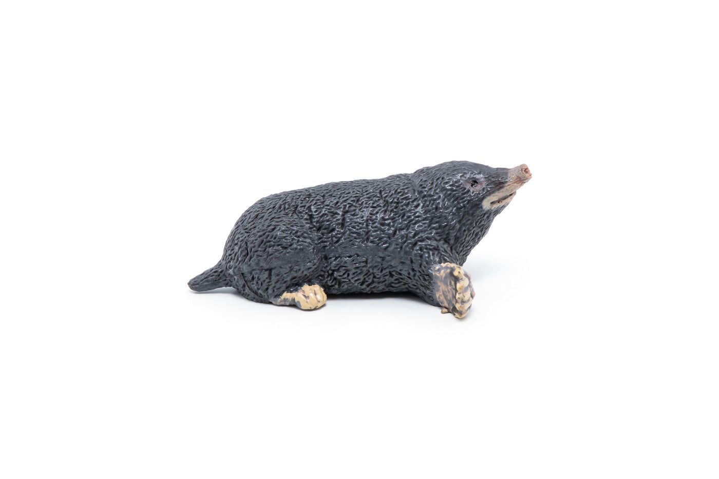 PAPO FIGURINA CARTITA
