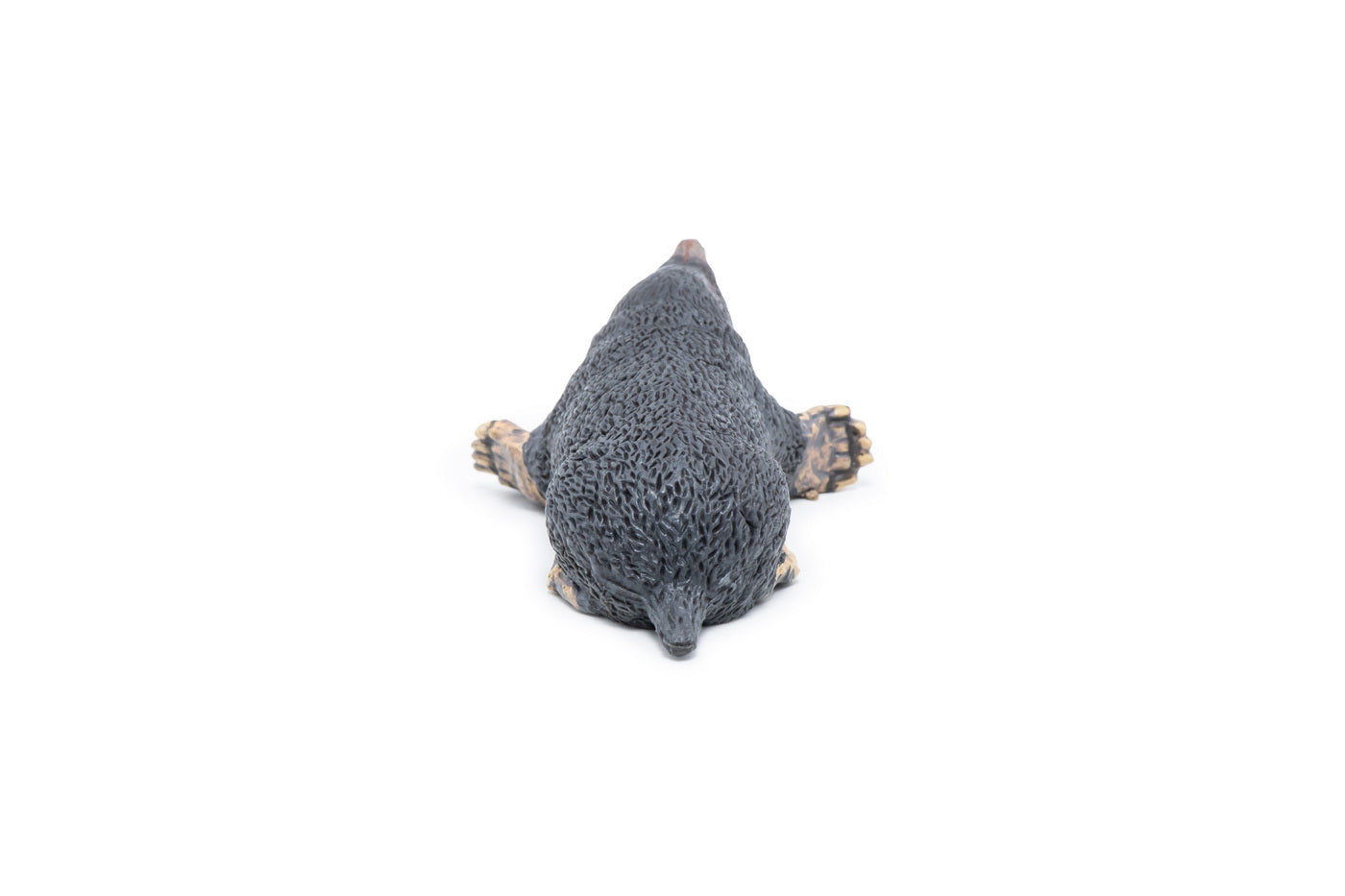 PAPO FIGURINA CARTITA