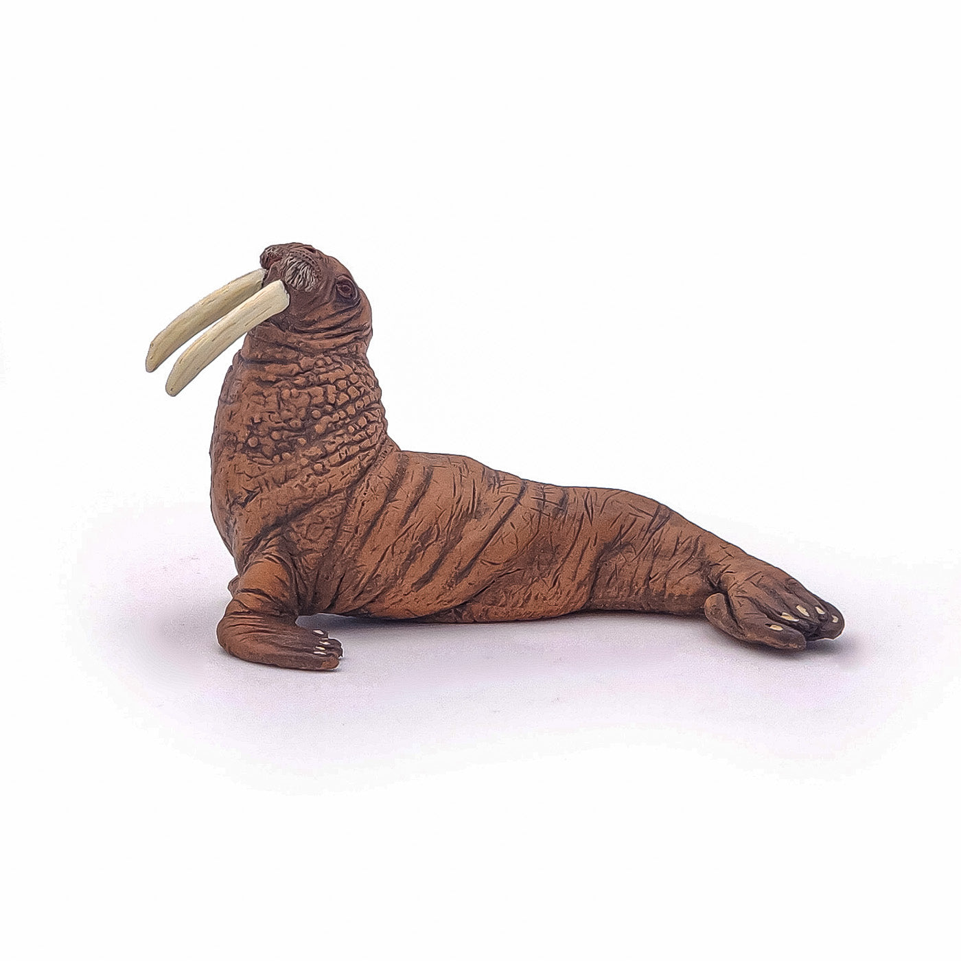 PAPO FIGURINA Morsa