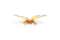PAPO FIGURINA FLUTURE GALBEN