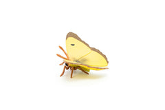PAPO FIGURINA FLUTURE GALBEN