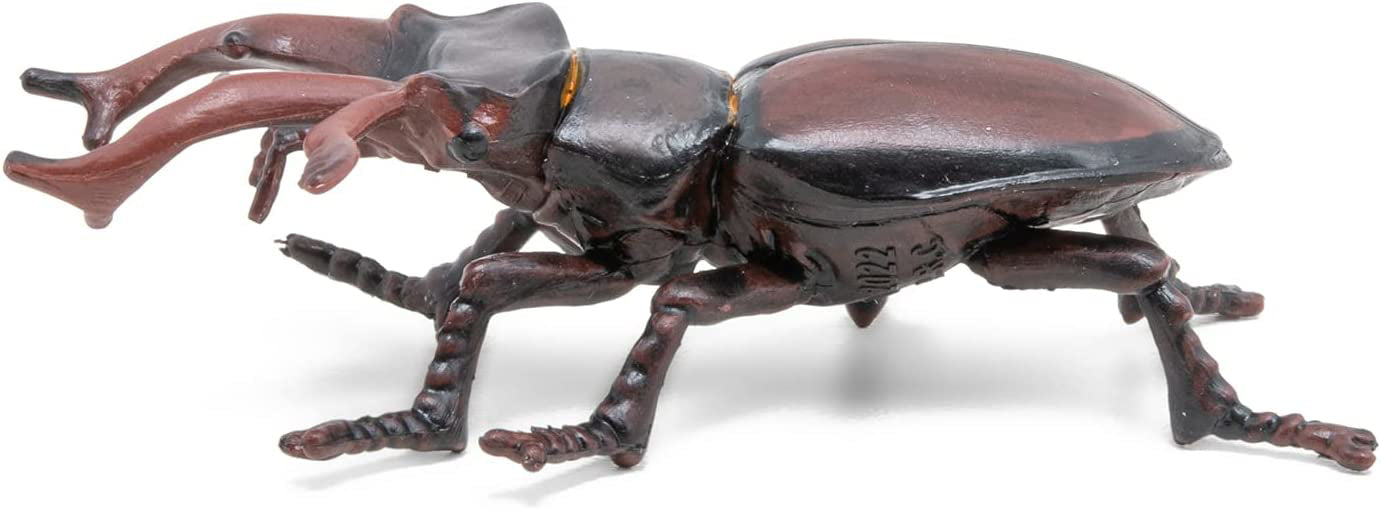 PAPO FIGURINA RADASCA