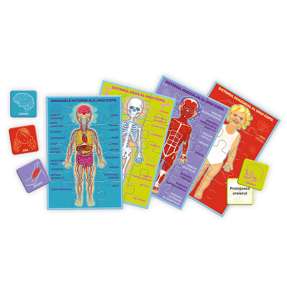 JOC CORPUL MEU MICUL EXPLORATOR