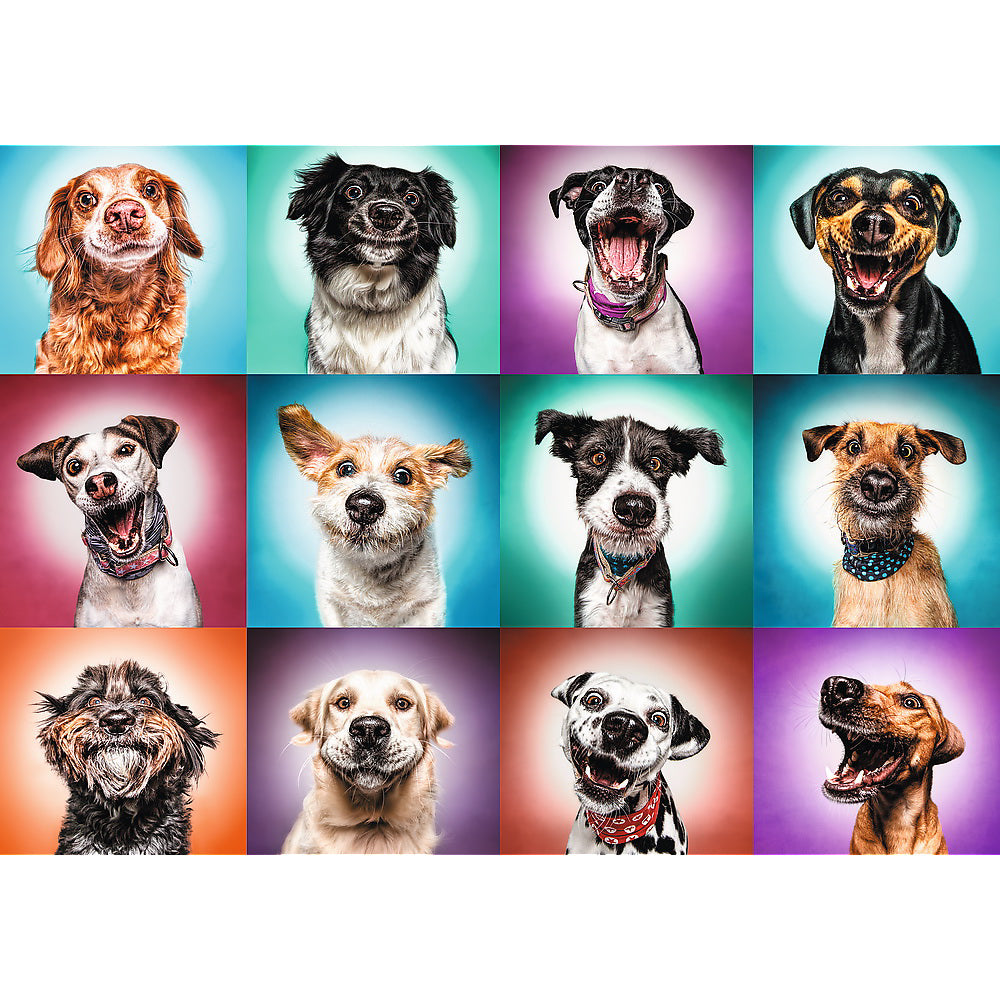 PUZZLE TREFL 2000 CATELUSII AMUZANTI