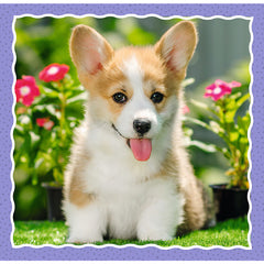 PUZZLE TREFL 3IN1 CATELUSII ADORABILI