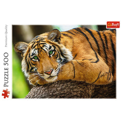PUZZLE TREFL 500 PORTRETUL TIGRULUI