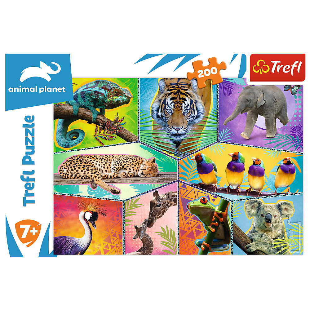PUZZLE TREFL 200 ANIMAL PLANET O LUME EXOTICA