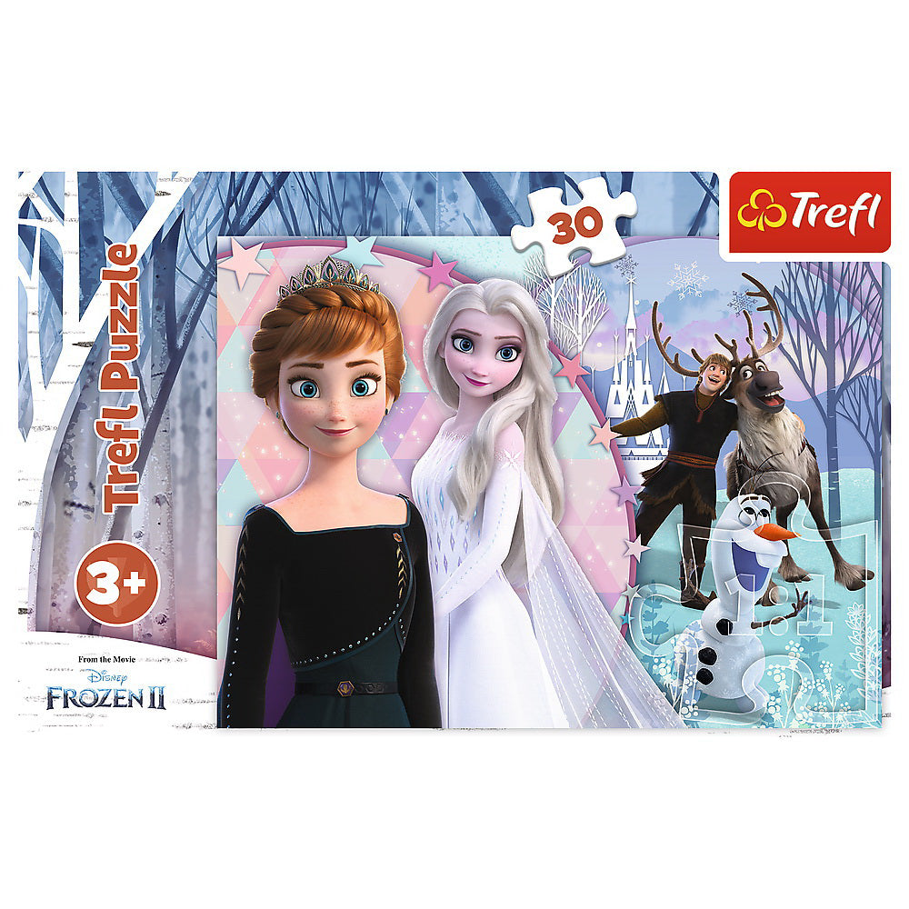 PUZZLES 30 MAGICAL FROZEN