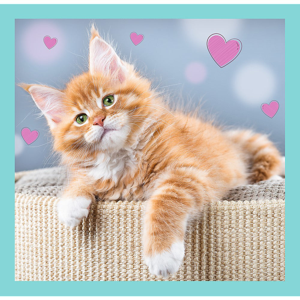 PUZZLE TREFL 3IN1 PISICUTELE DRAGALASE