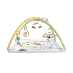 FISHER PRICE SALTELUTA DE ACTIVITATI
