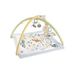 FISHER PRICE SALTELUTA DE ACTIVITATI
