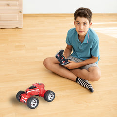 MASINA CU RADIOCOMANDA EXOST MINI REVOLT