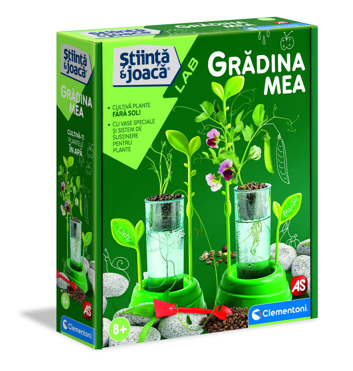 GRADINA MEA