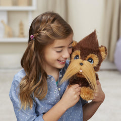 CATELUL SHAGGY SHAWN