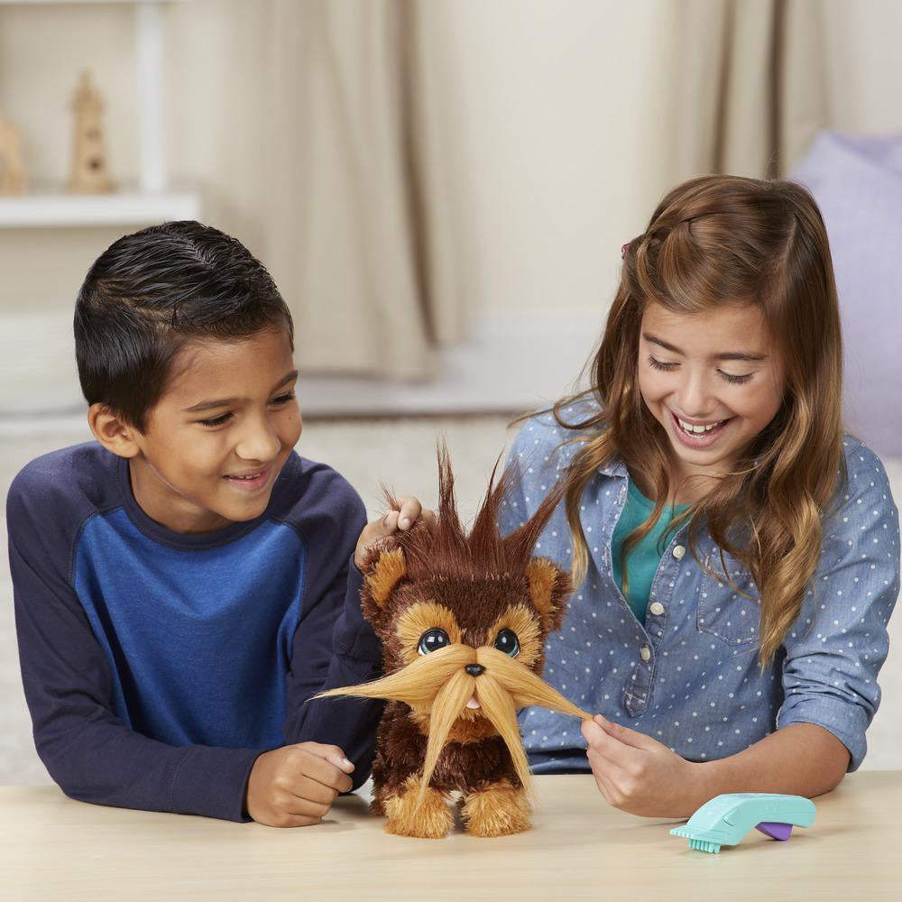 CATELUL SHAGGY SHAWN