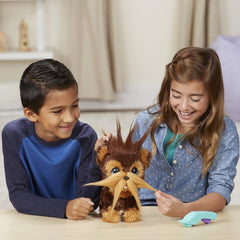 CATELUL SHAGGY SHAWN