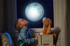 CATELUSUL INTERACTIV HOWLIN HOWIE