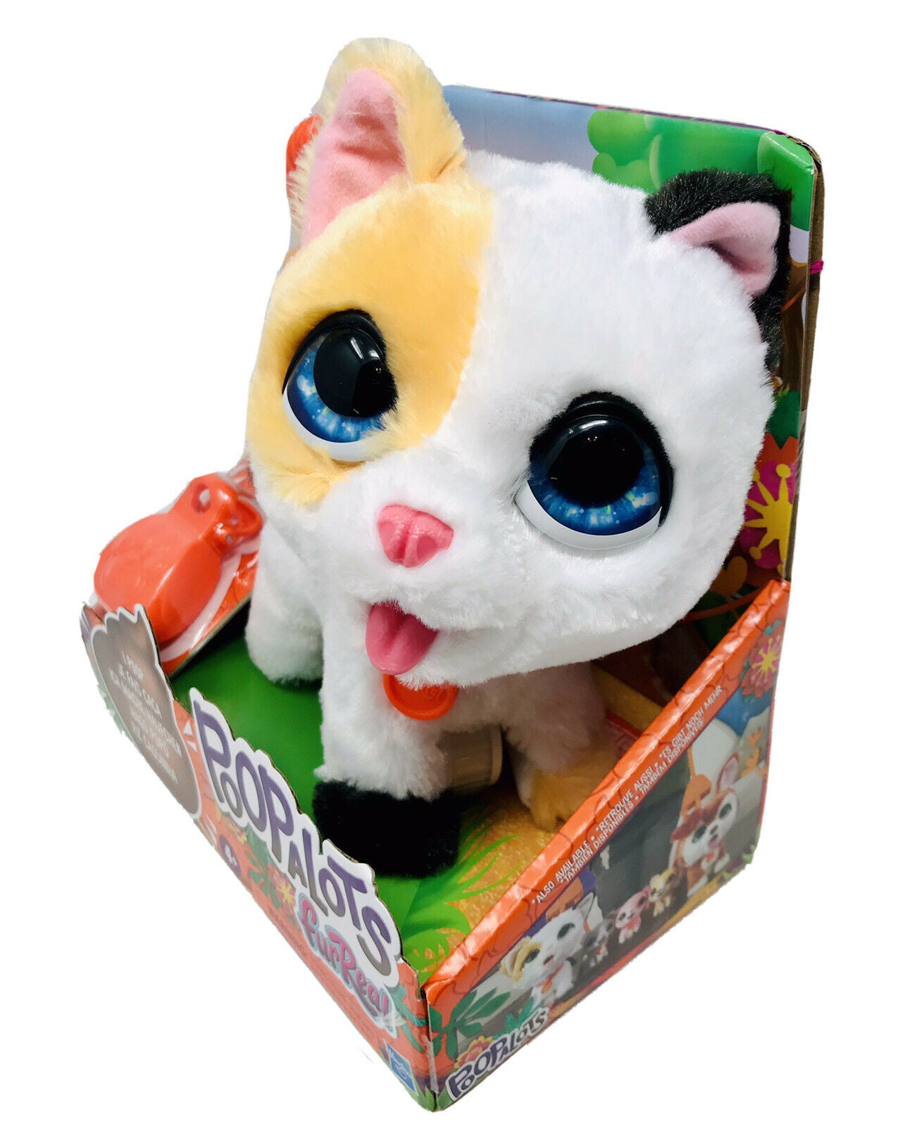 FURREAL CU PISICUTA LA PLIMBARE