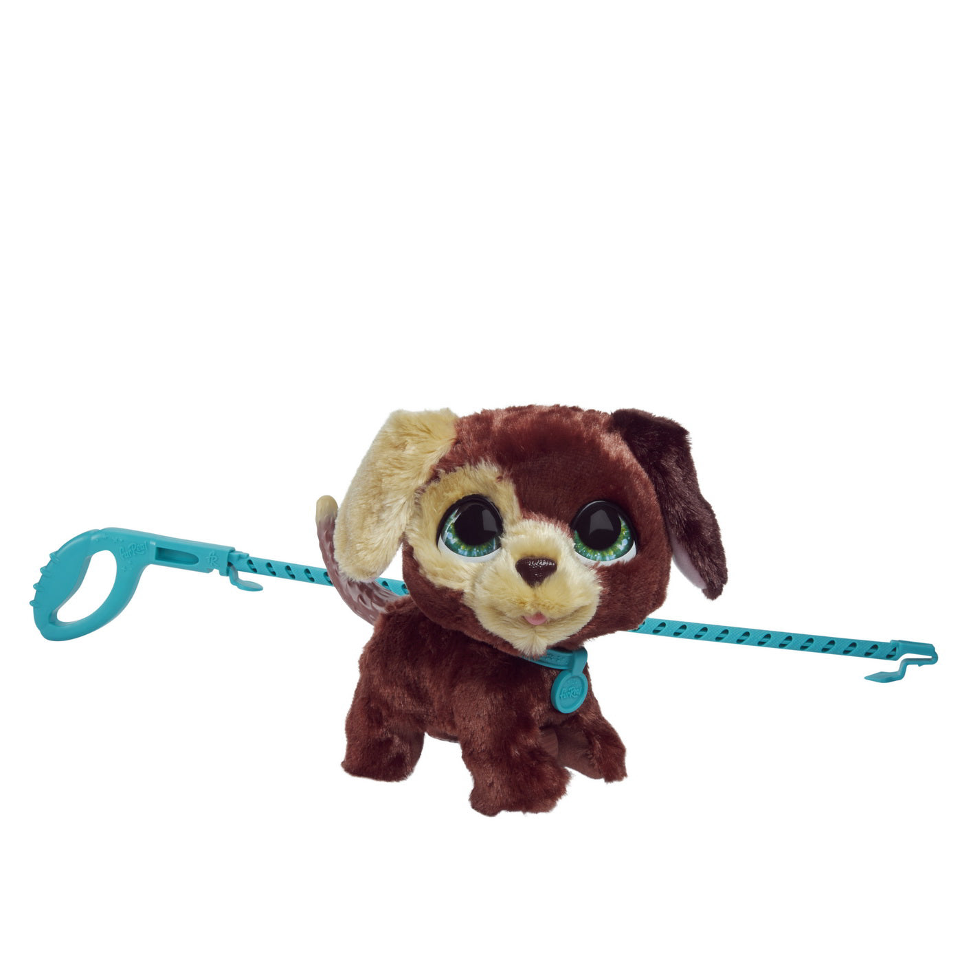 FURREAL CU CATELUL LA PLIMBARE