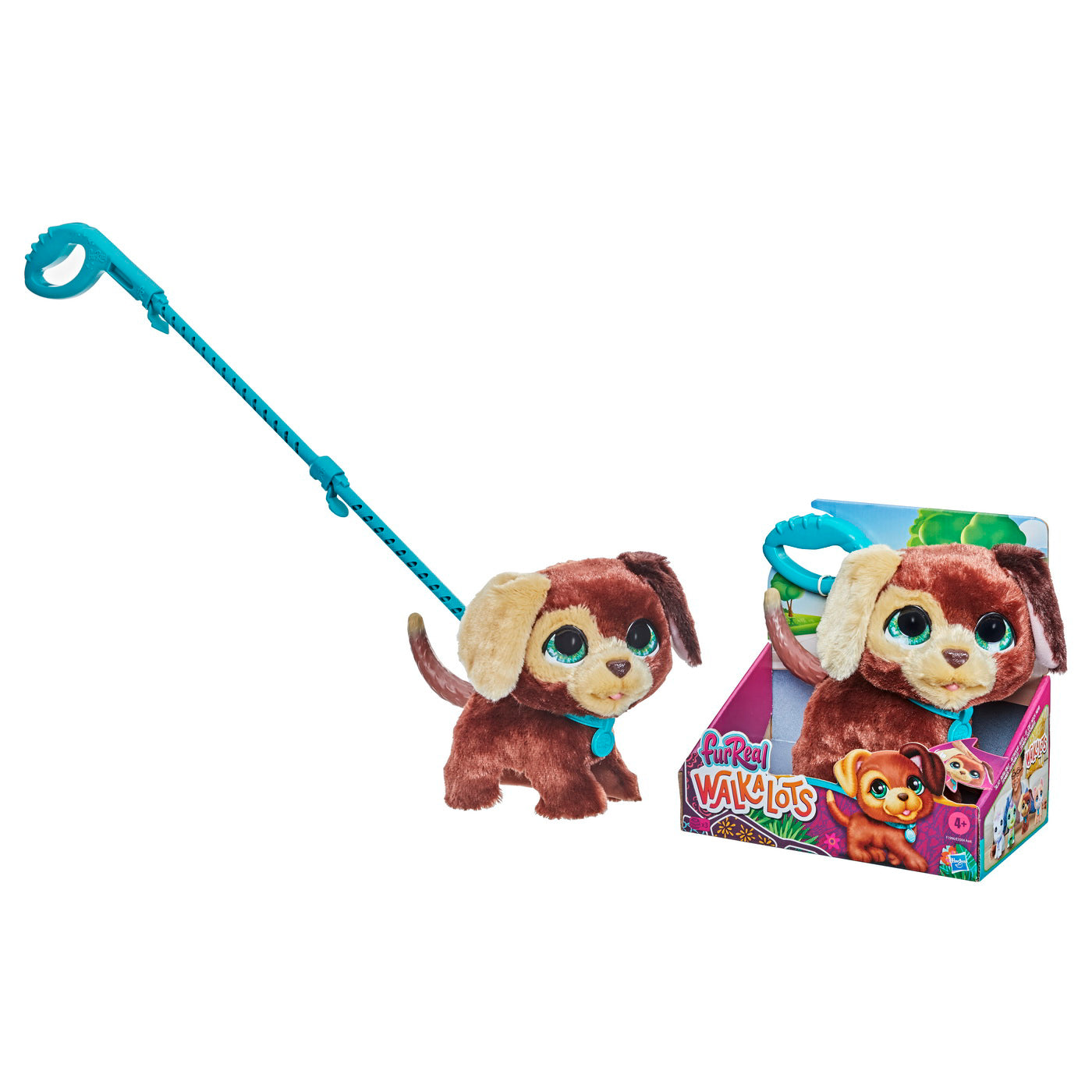 FURREAL CU CATELUL LA PLIMBARE