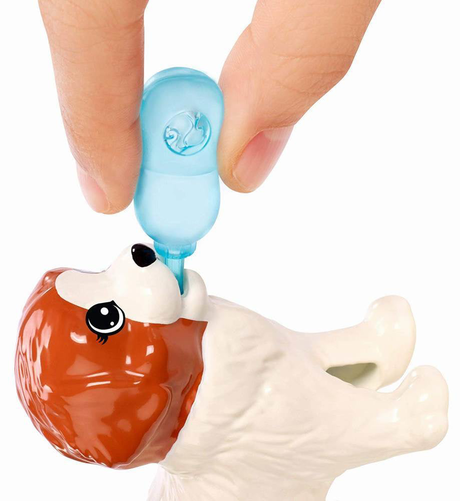 PAPUSA BARBIE SET CU CATELUSI