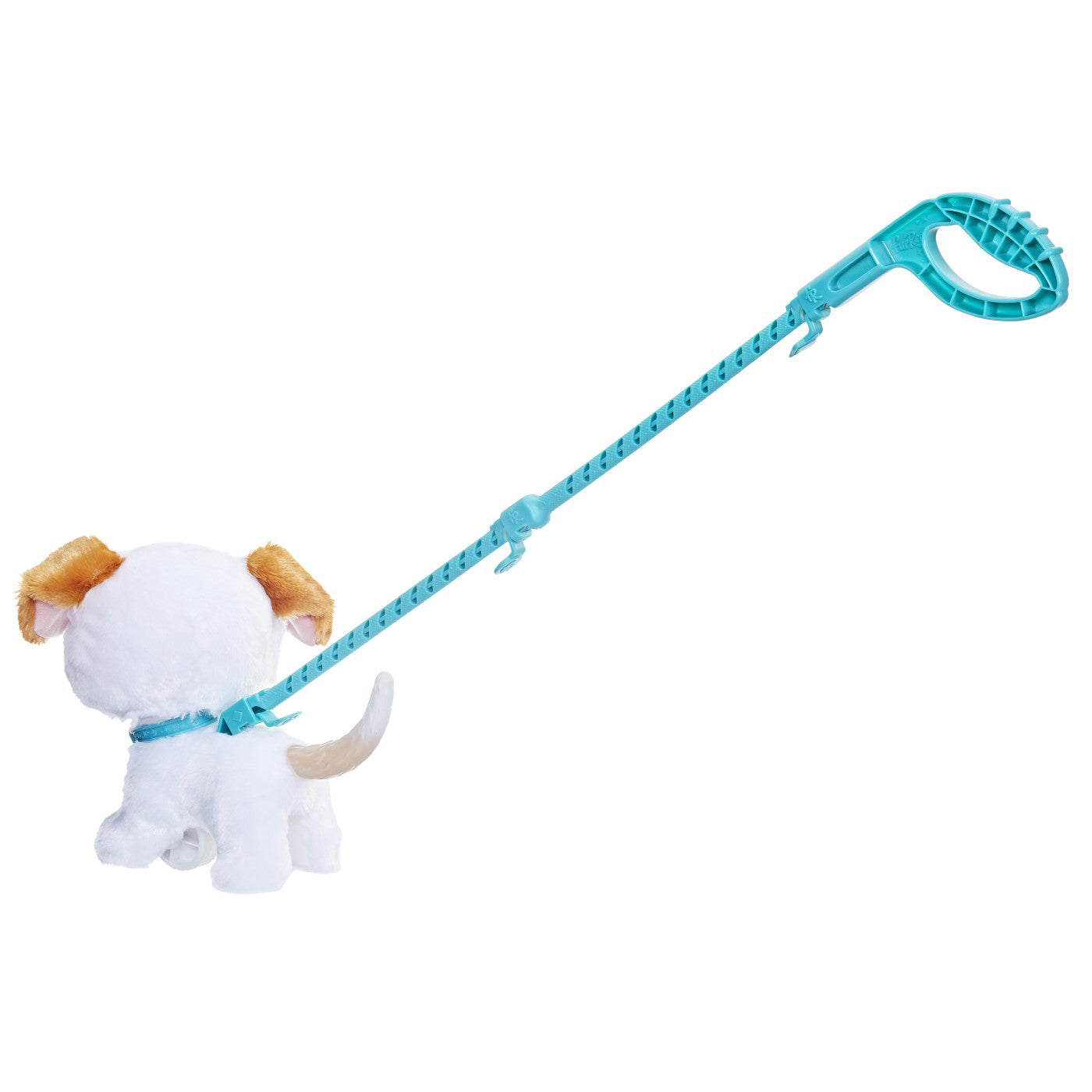 FURREAL CU CATELUL LA PLIMBARE