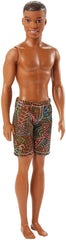 PAPUSA KEN LA PLAJA AFROAMERICAN CU COSTUM DE BAIE MULTICOLOR