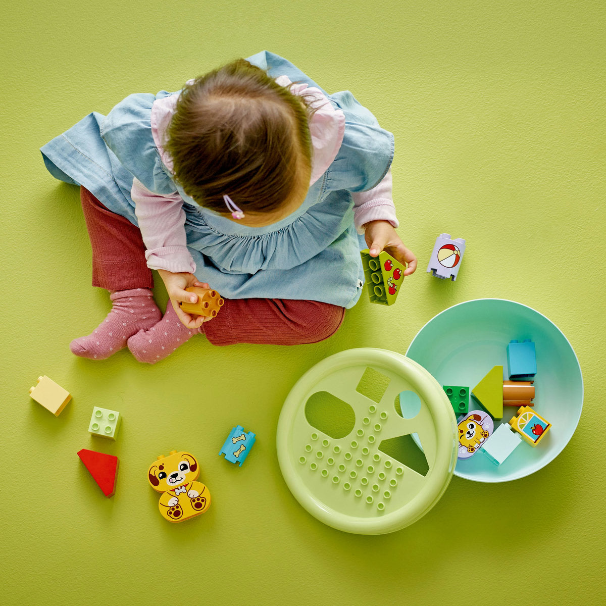 LEGO® DUPLO® - Sortator de forme: casa pentru catei 10441, 17 piese