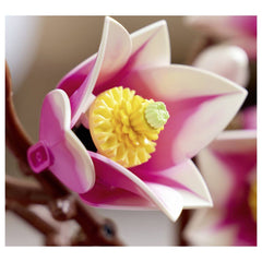 Lego Crengute De Magnolie L11510
