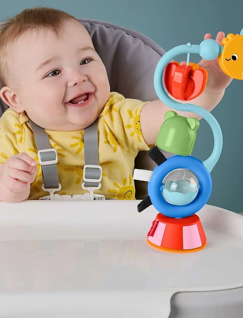 Mattel Jucărie senzorială Fisher Price - Cu ventuză, multicoloră