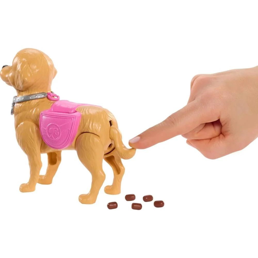 Mattel Papusa cu catelus si accesorii, Barbie Malibu, Family&Friends