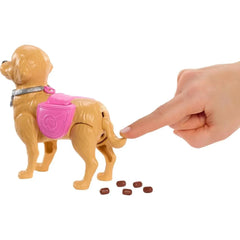 Mattel Papusa cu catelus si accesorii, Barbie Malibu, Family&Friends