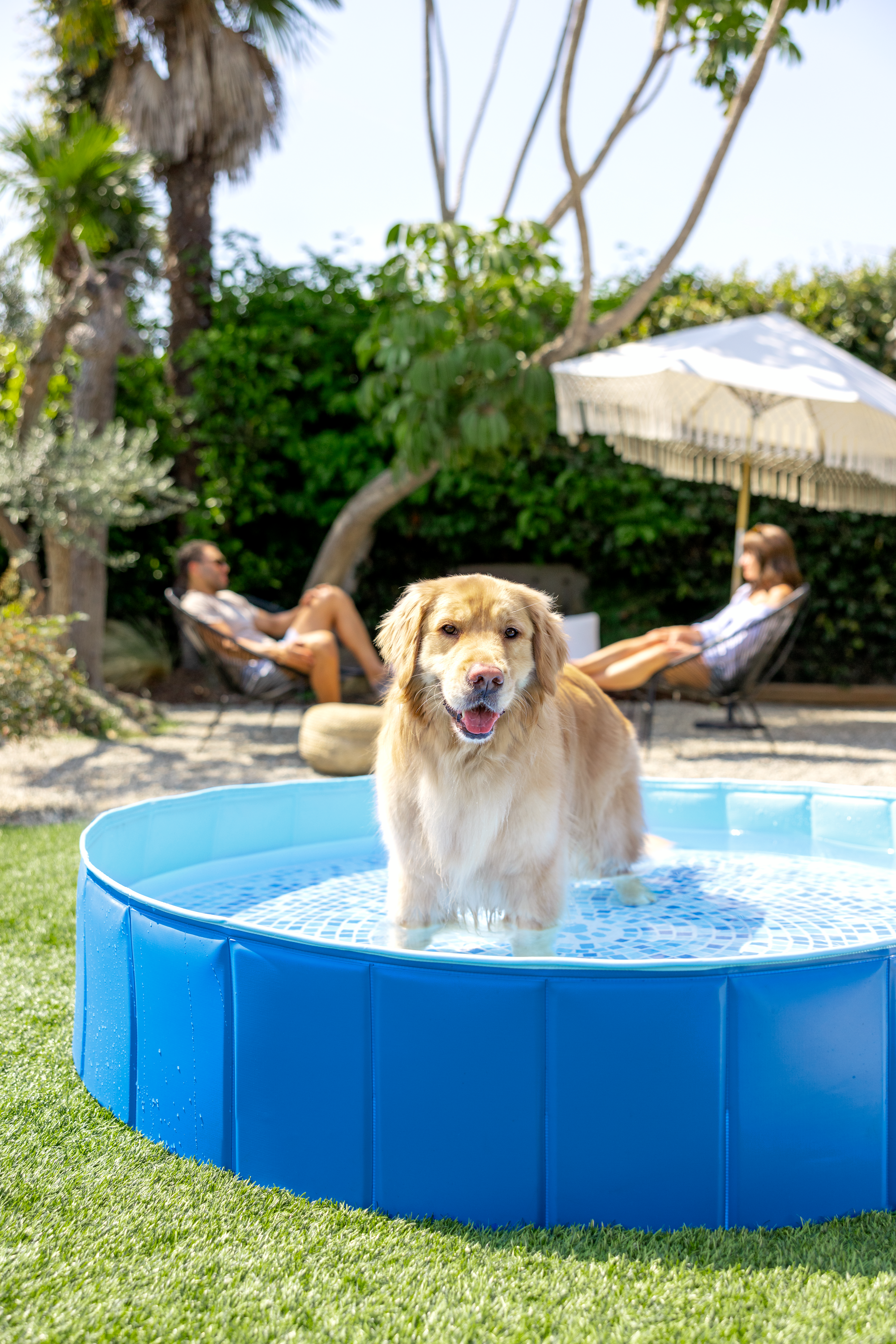 INTEX Piscina Pentru Caini Pliabil Ix4800Np