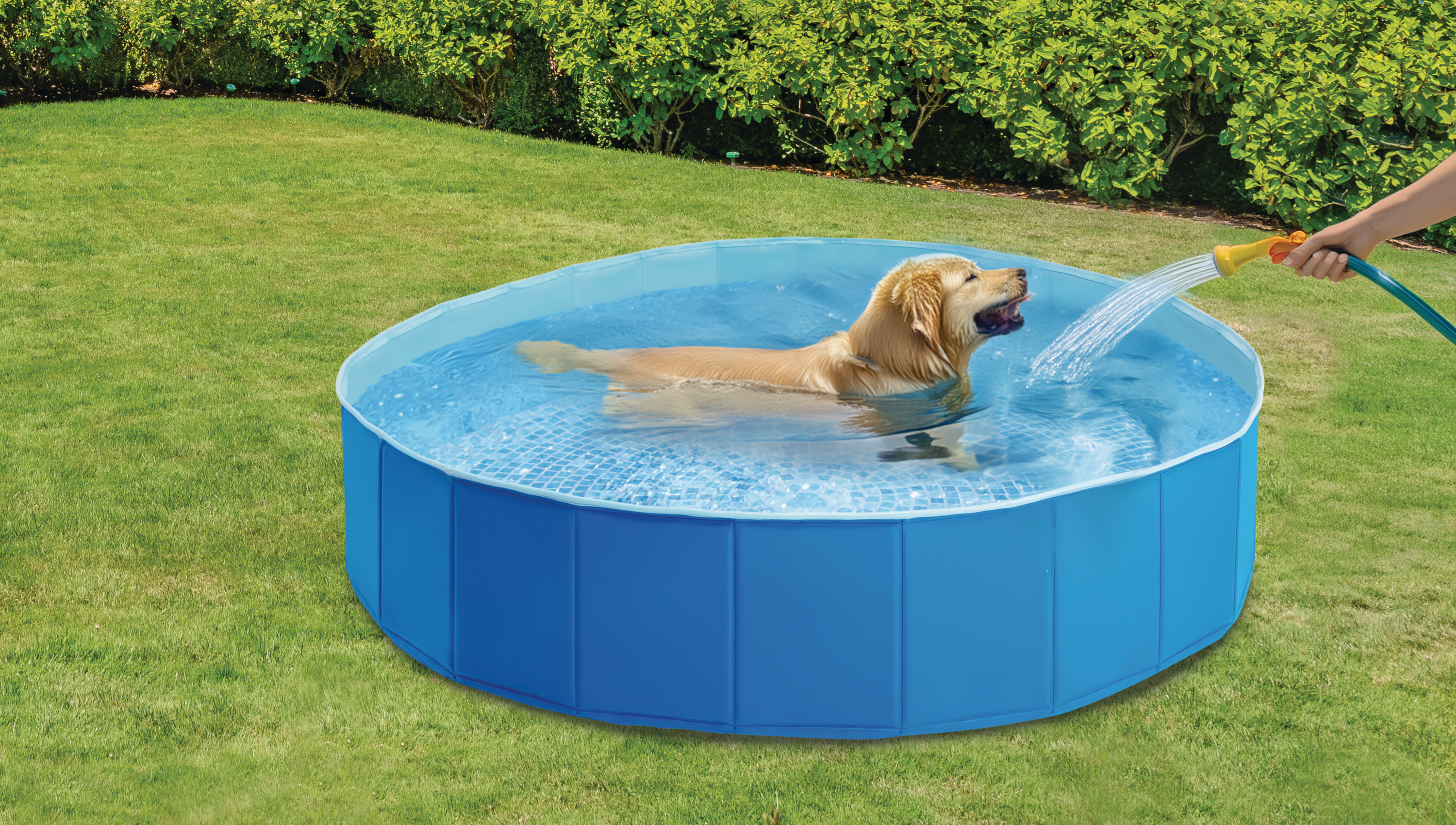 INTEX Piscina Pentru Caini Pliabil Ix4800Np