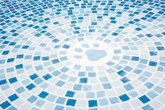 INTEX Piscina Pentru Caini Pliabil Ix4800Np