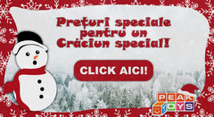 Banner Craciun